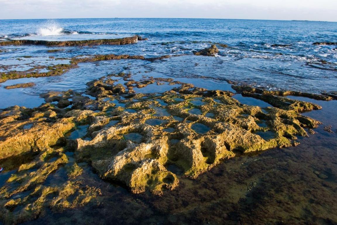 דירות גשר הזיו Achziv Sea & Sun מראה חיצוני תמונה